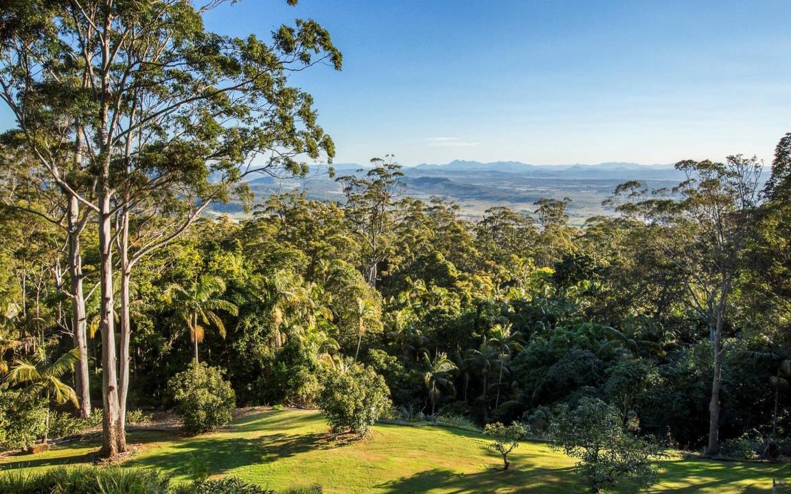Photo of Others in North Tamborine