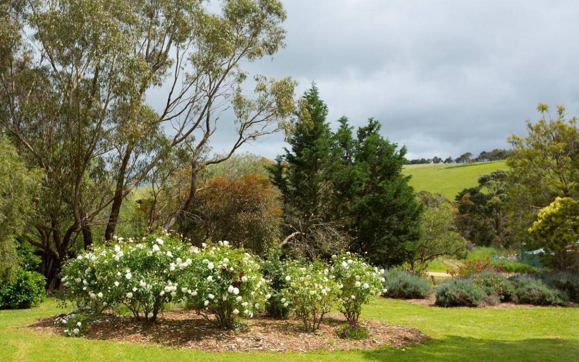 Photo of Others in Bellbrae
