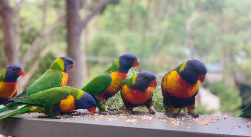 Photo of Others in Hyams Beach