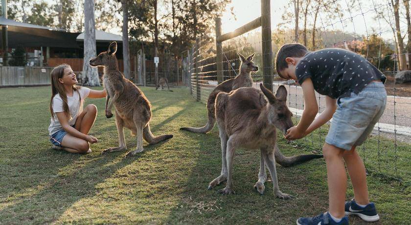 Photo of Others in Oxenford