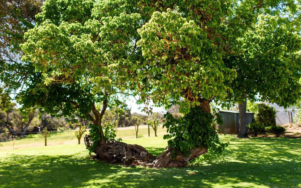 Photo of Others in Bovell