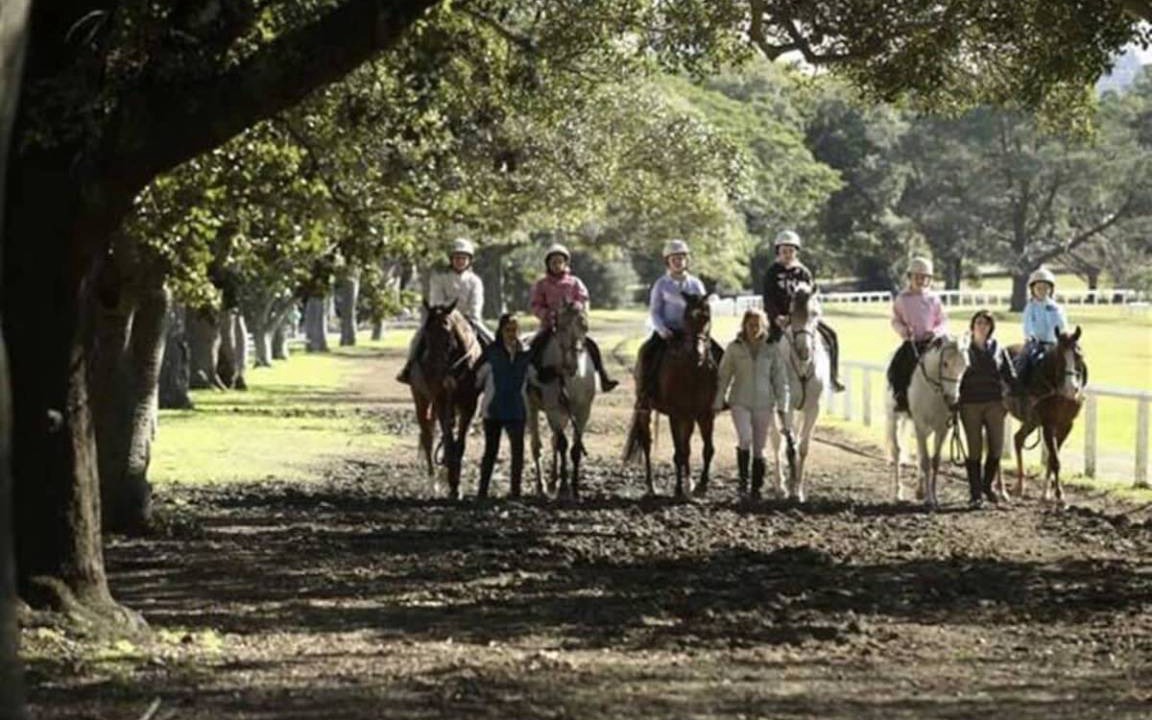 Photo of Others in Woollahra