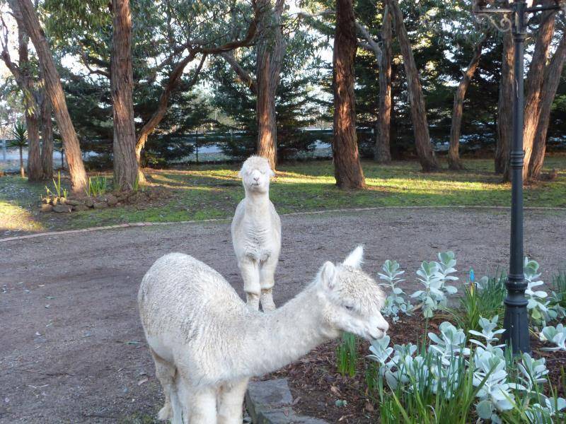 Photo of Others in Bellbrae