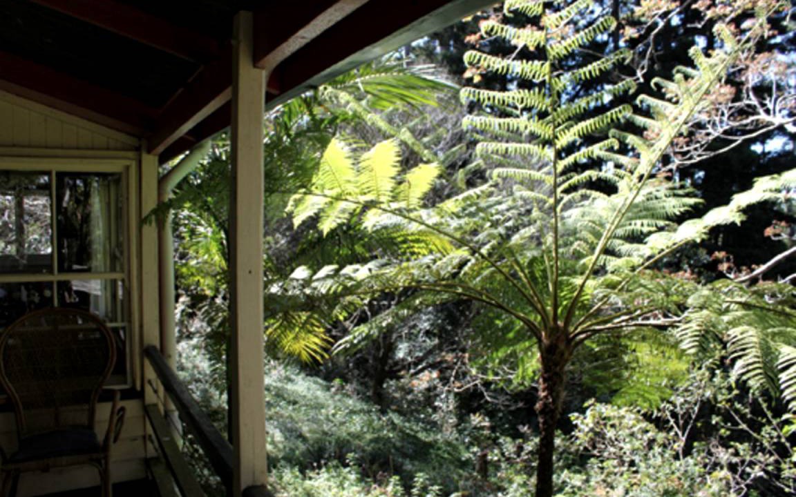 Photo of Others in Mount Glorious