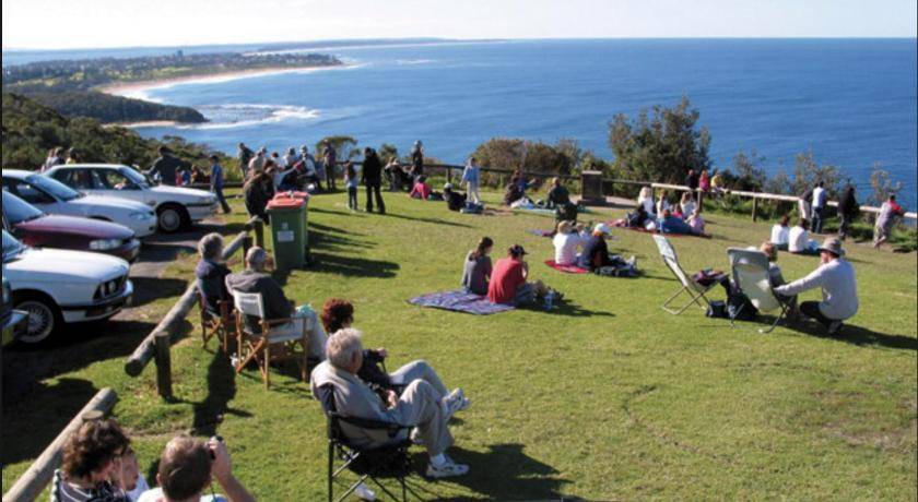 Photo of Others in Hastings Point