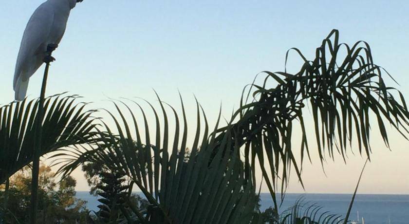 Photo of Others in Airlie Beach