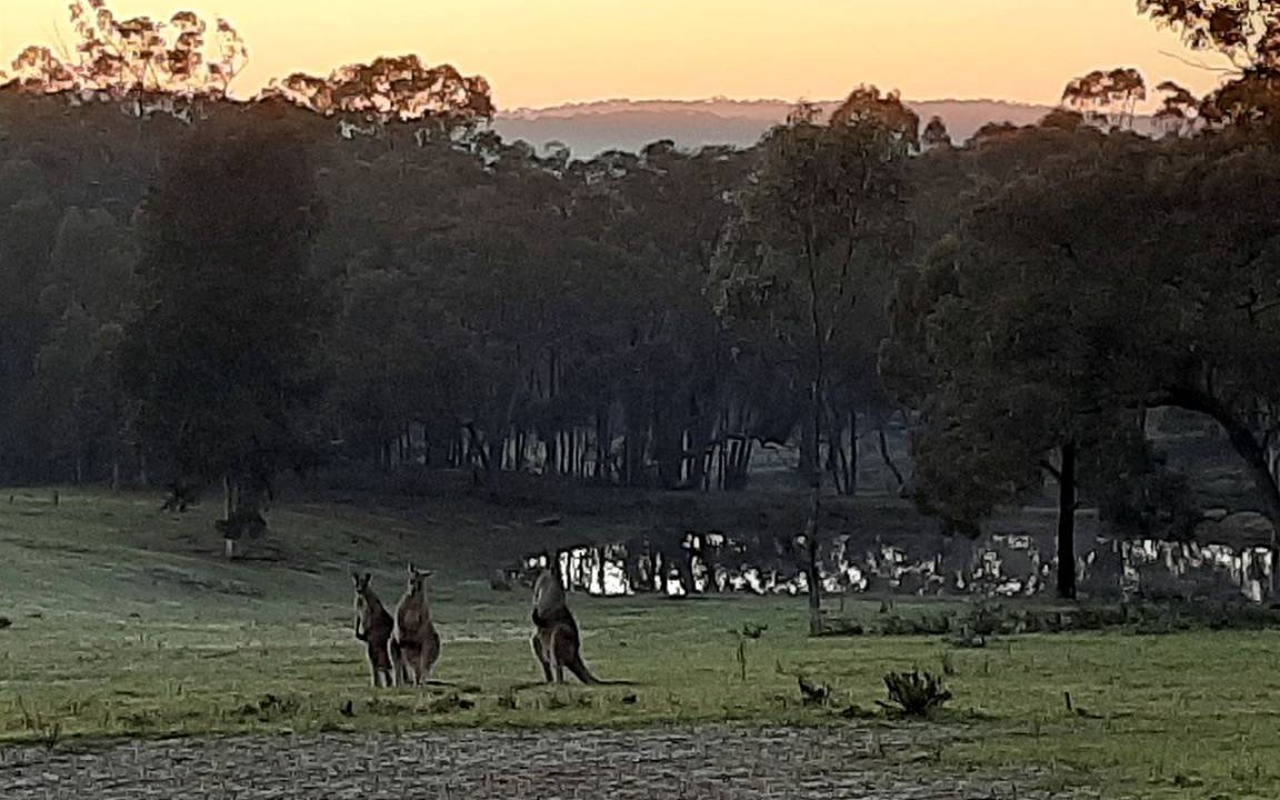 Photo of Others in Costerfield