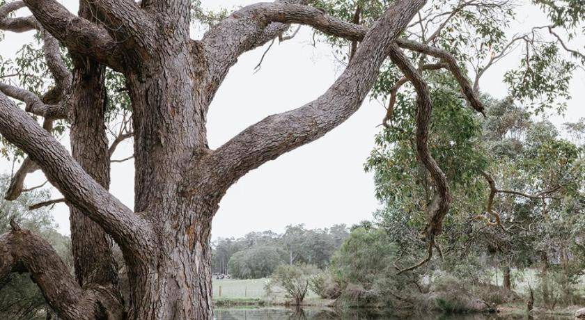Photo of Others in Margaret River