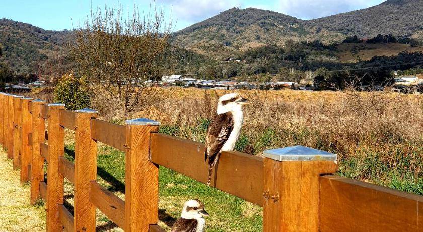 Photo of Others in Central Mudgee