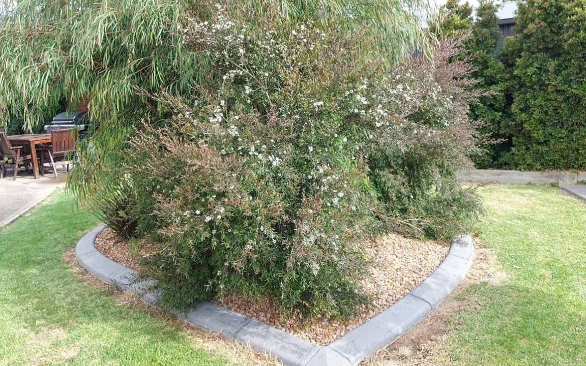 Photo of Others in Numurkah