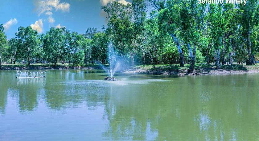 Photo of Others in McLaren Vale