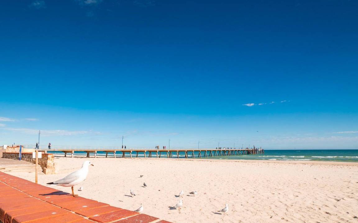 Photo of Others in Glenelg