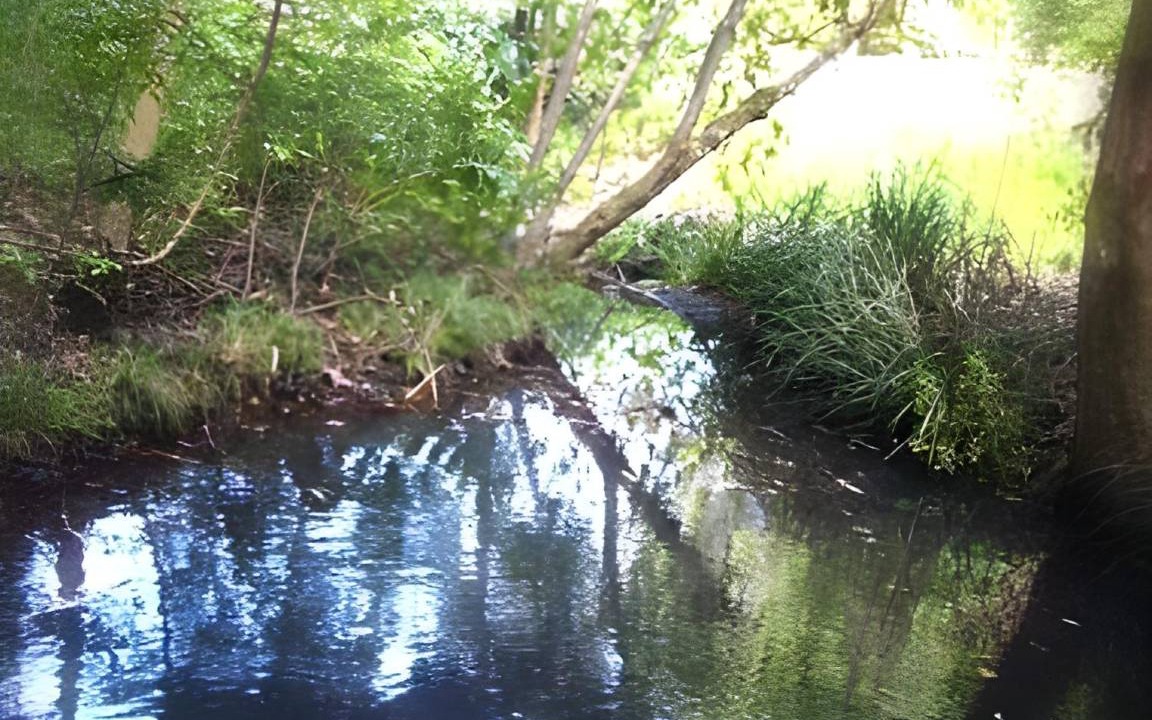 Photo of Others in Upper Orara