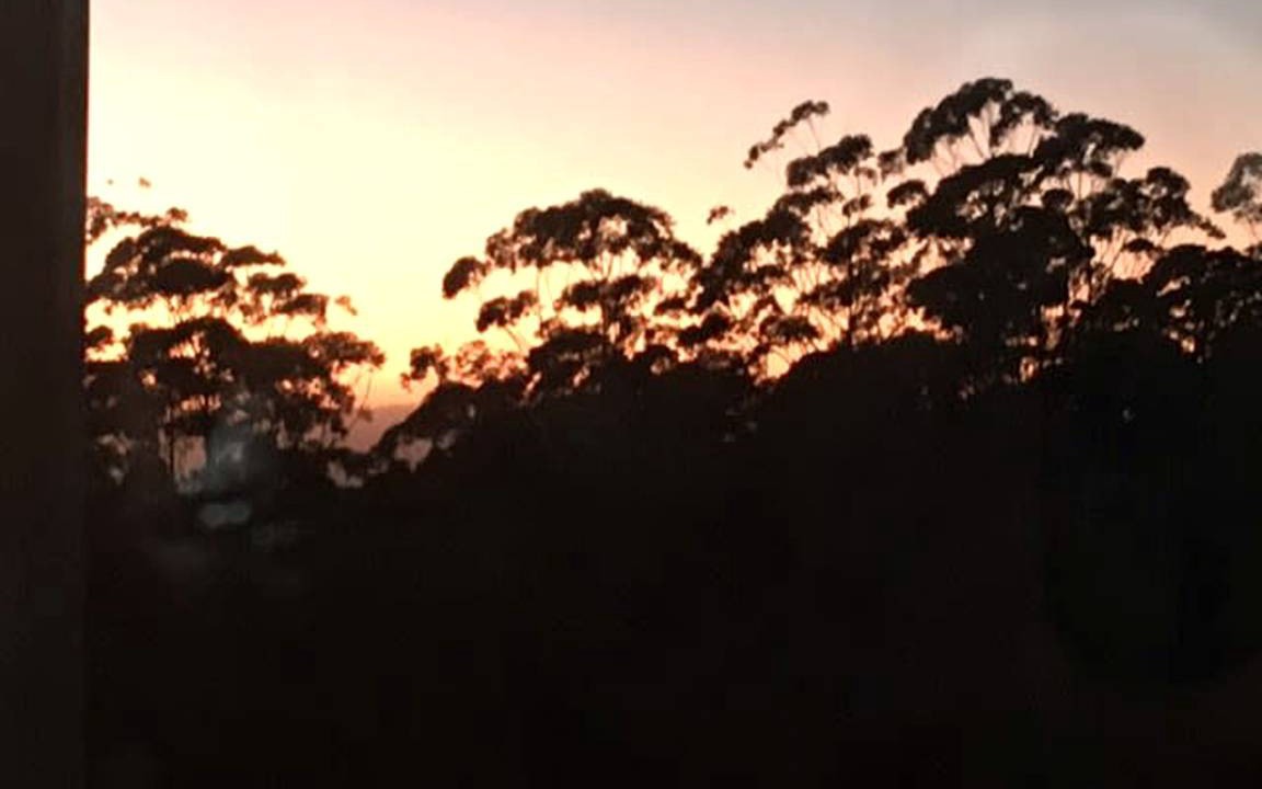 Photo of Others in Maleny