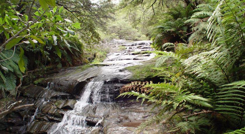 Photo of Others in Leura