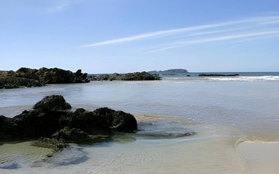 Photo of Others in Narooma