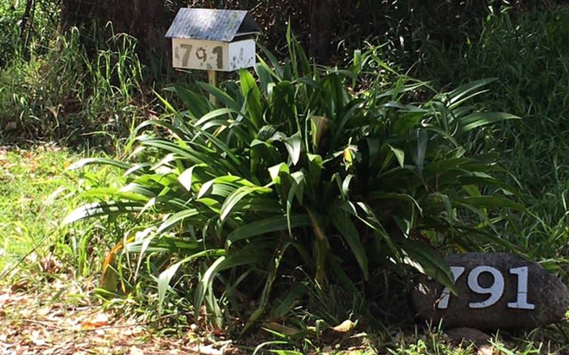 Photo of Others in Maleny