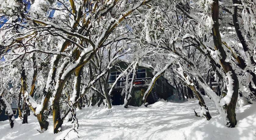 Photo of Others in Mount Buller
