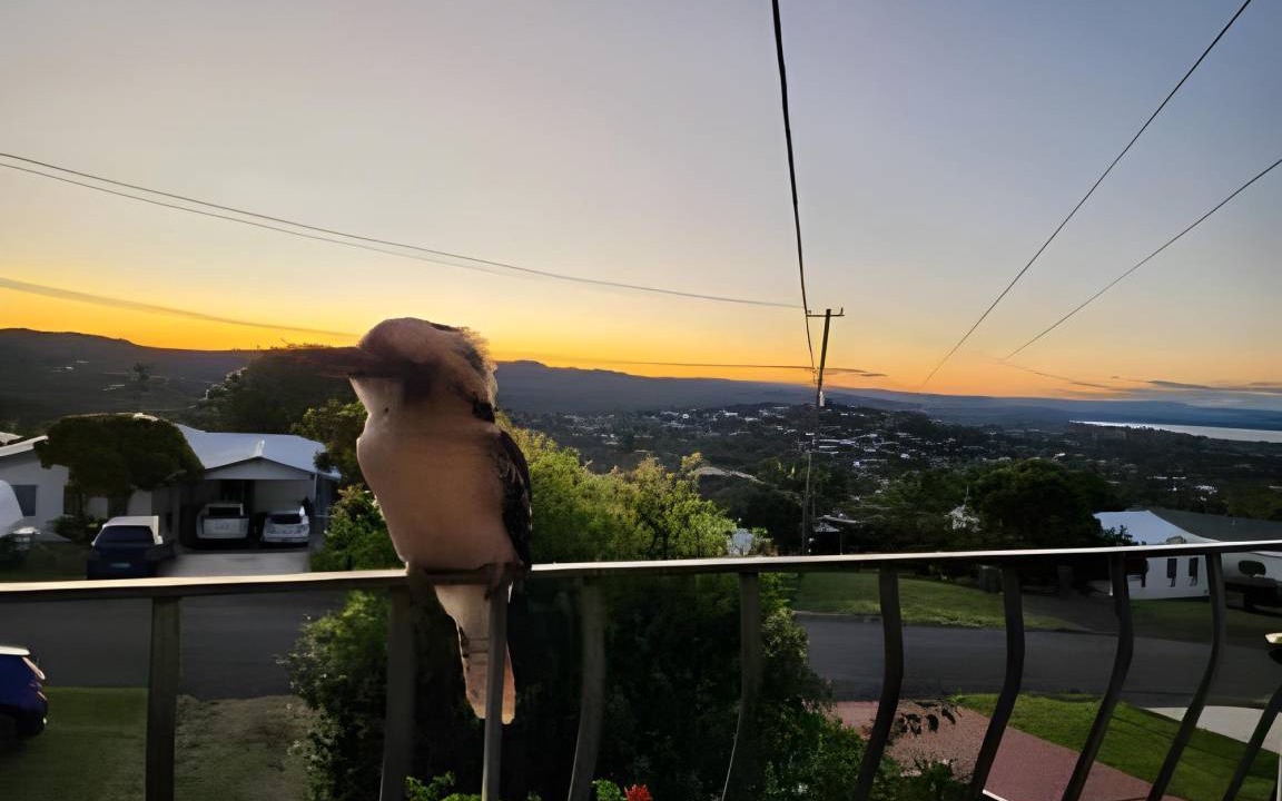 Photo of Others in Bateau Bay