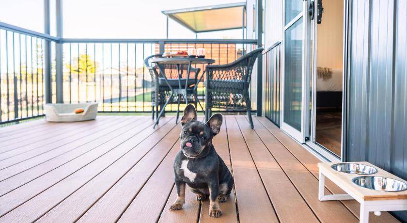 Photo of Patio Balcony in East Ballina