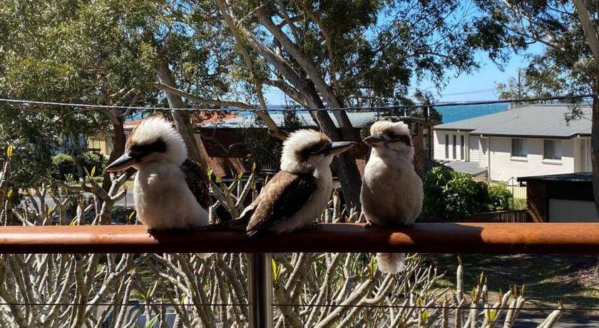Photo of Others in Salamander Bay