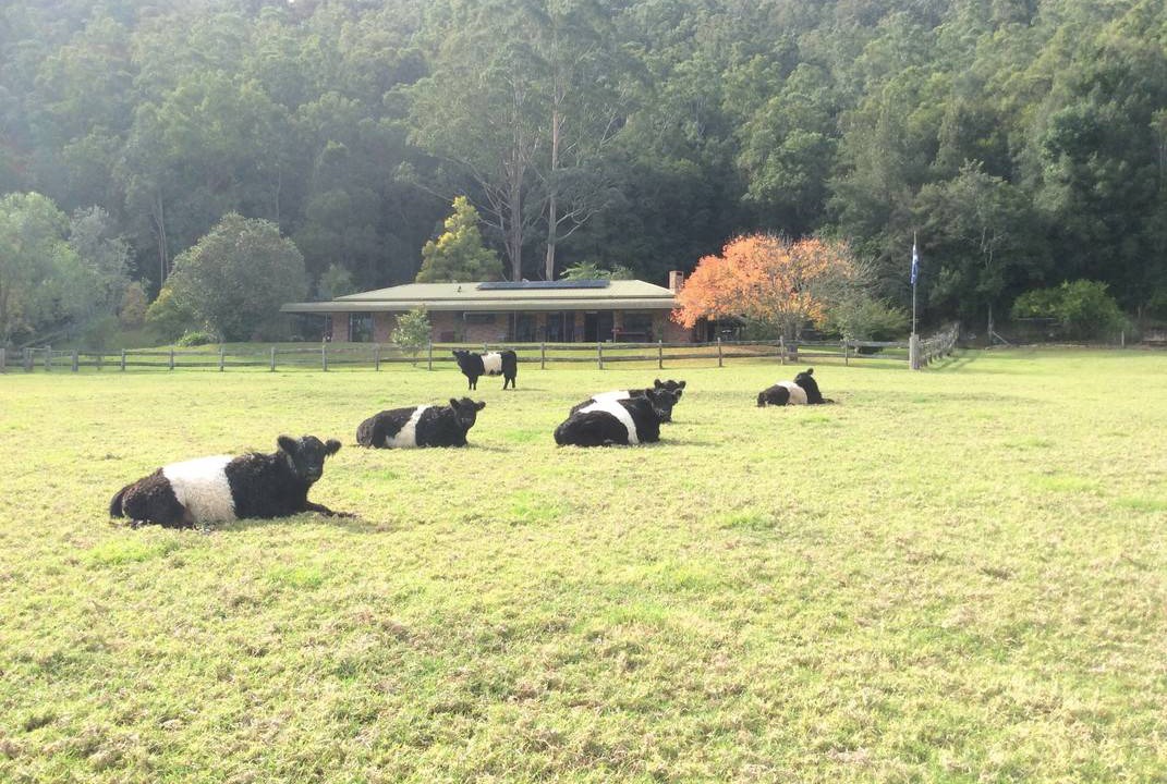 Photo of Others in Wyong Creek
