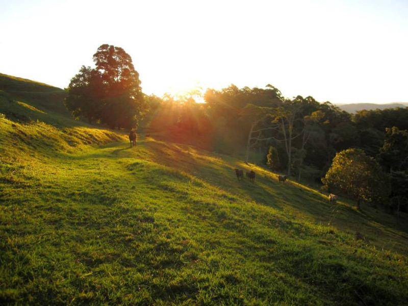 Photo of Outdoor in Booroobin