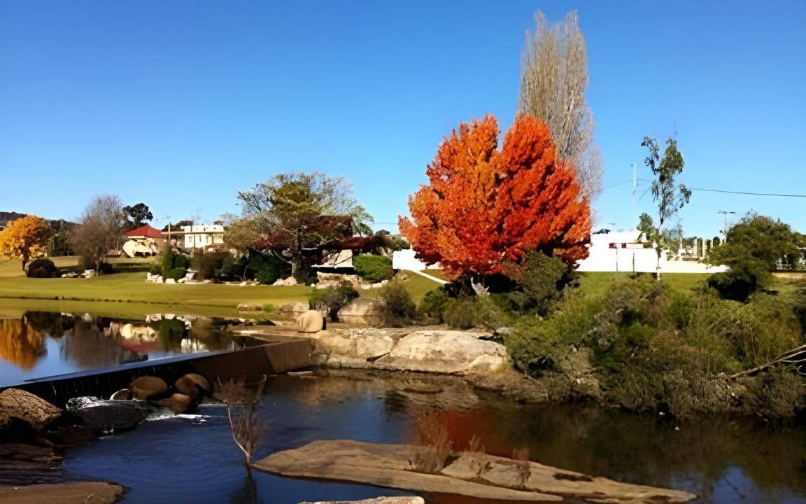 Photo of Others in Stanthorpe