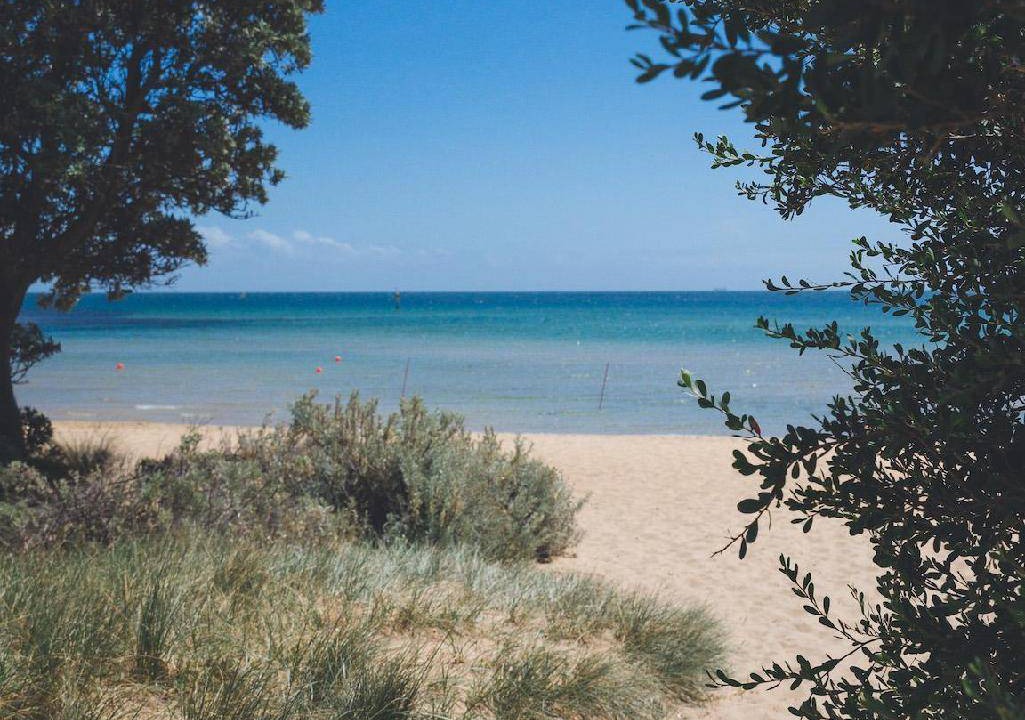 Photo of Others in Mornington