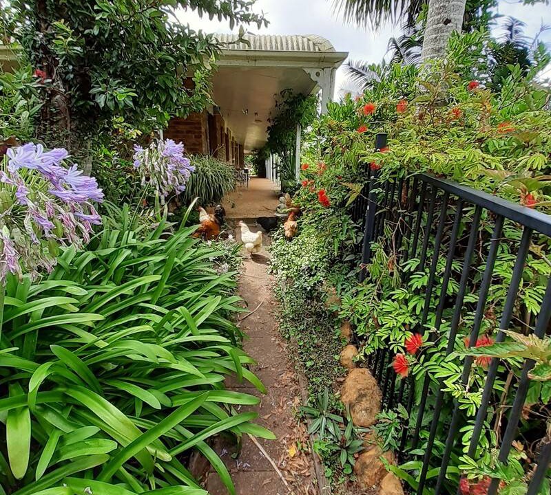 Photo of Others in North Maleny