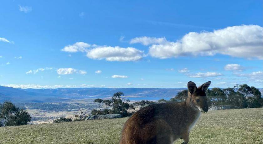 Photo of Others in Crackenback