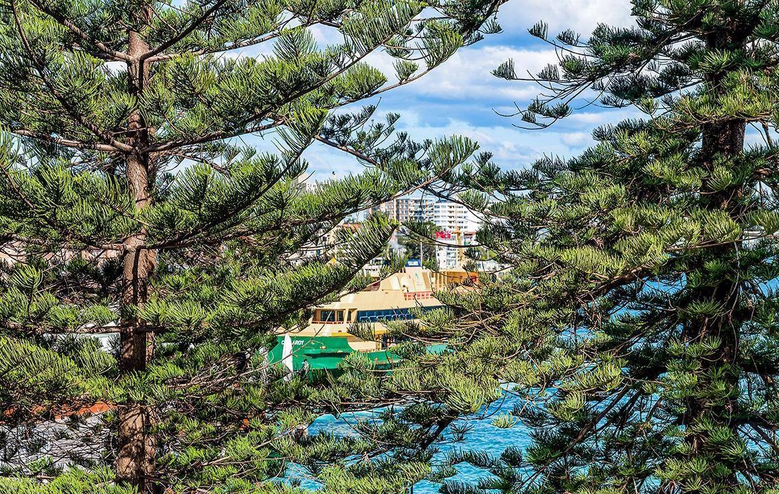 Photo of Others in Manly