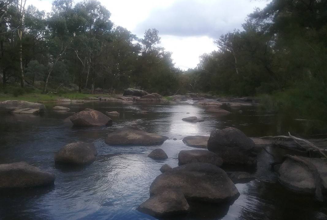 Photo of Others in Gunnedah