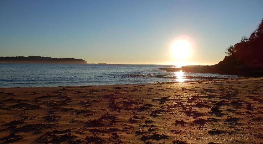 Photo of Others in South Durras
