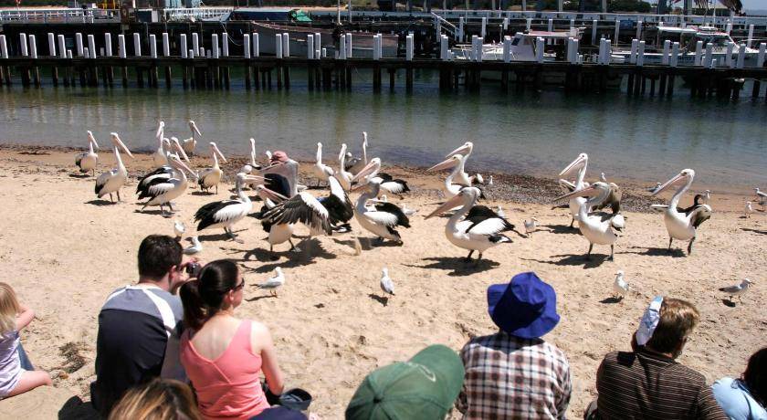 Photo of Others in San Remo