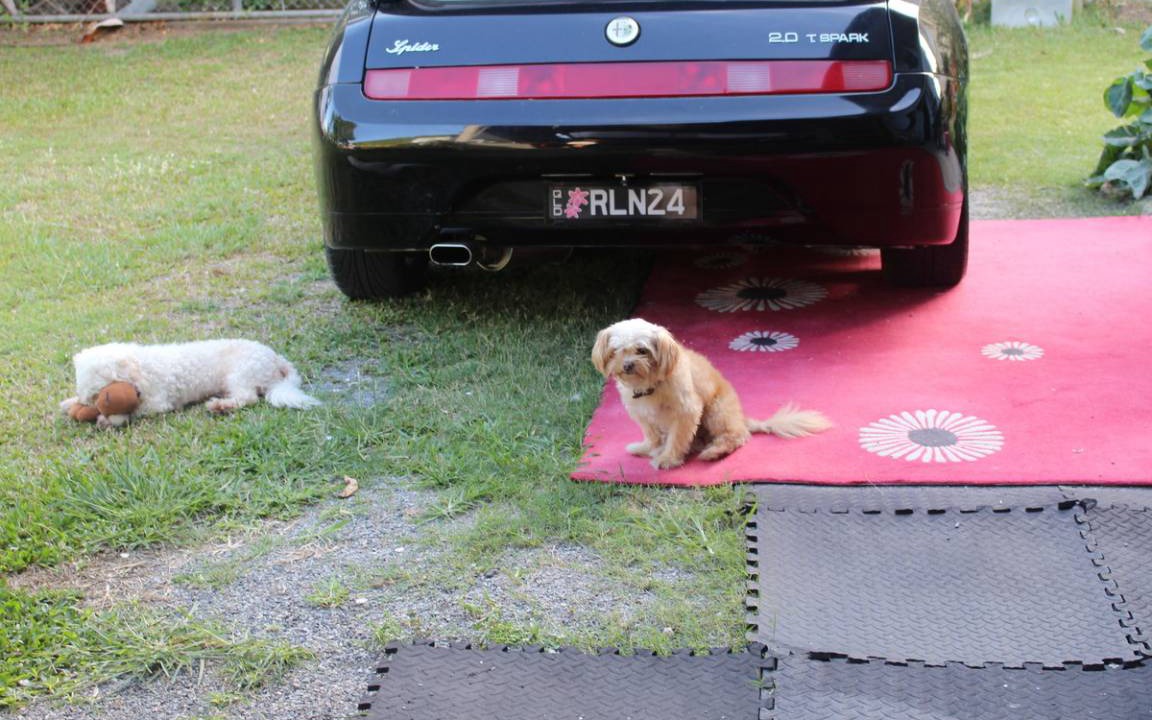 Photo of Others in West Mackay