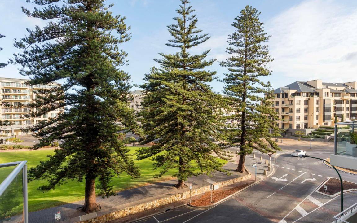 Photo of Others in Glenelg