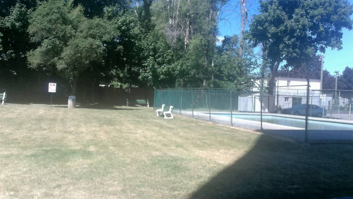 Photo of Others in Perthville