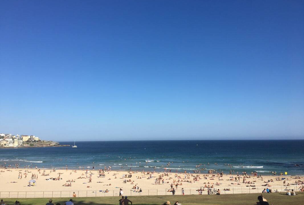 Photo of Others in Bondi