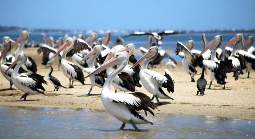 Photo of Others in Mandurah