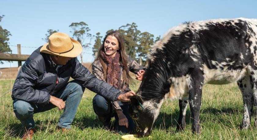 Photo of Others in Northern Tasmania