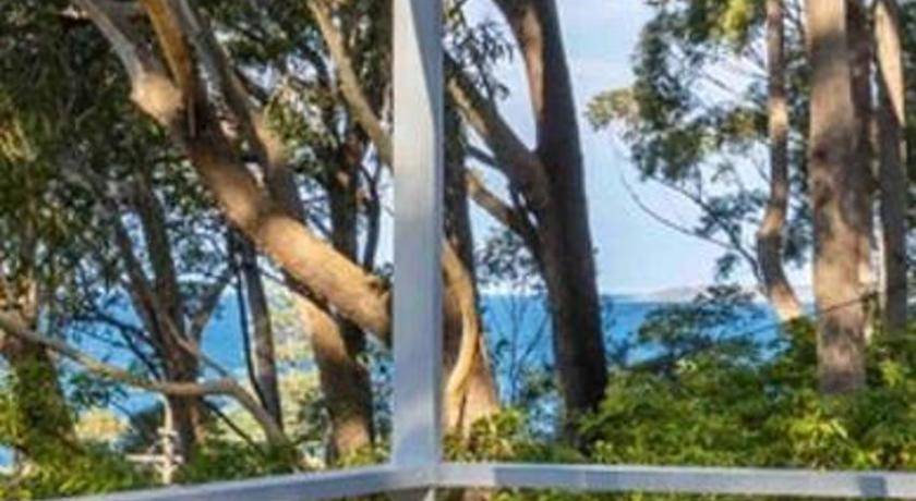 Photo of Others in Hyams Beach