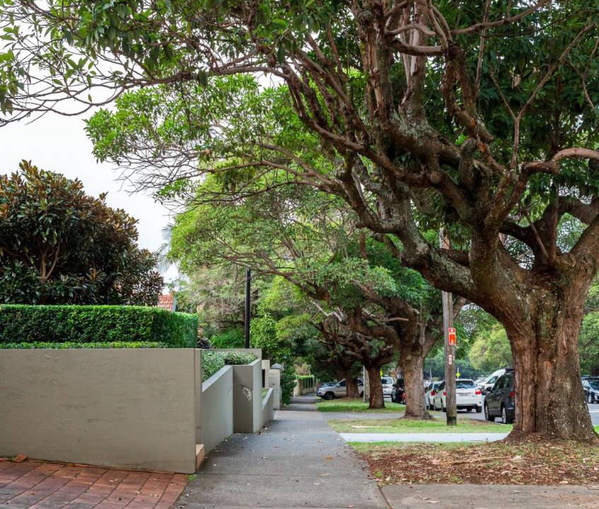 Photo of Others in Bellevue Hill