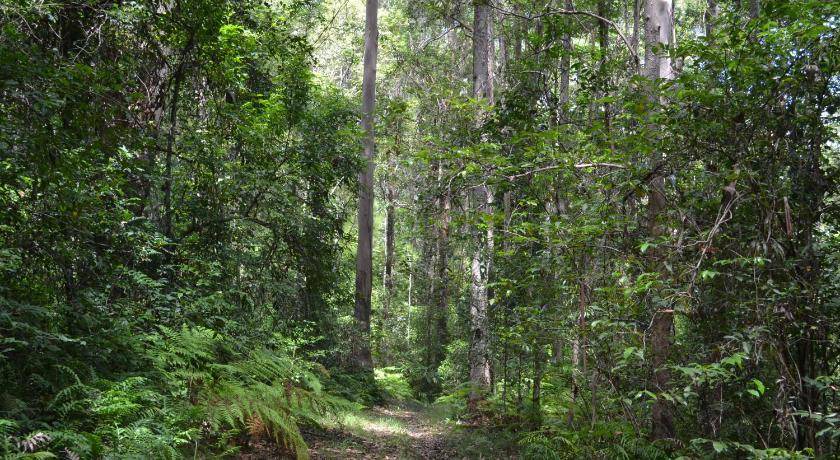 Photo of Others in Palmwoods