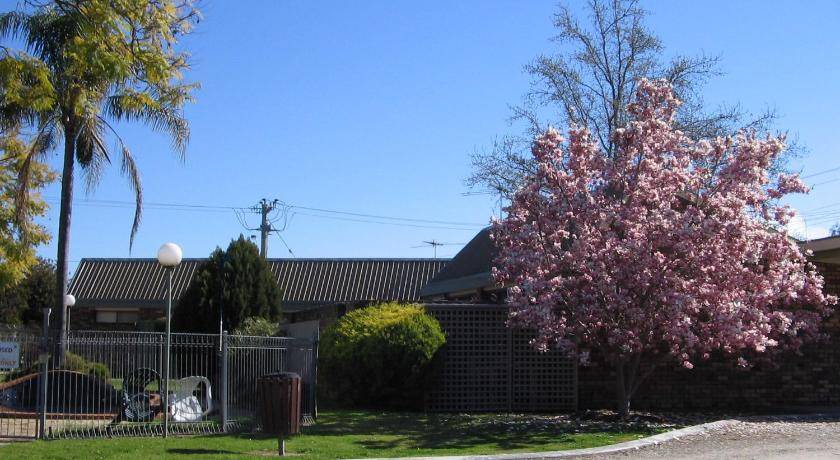 Photo of Others in West Wodonga