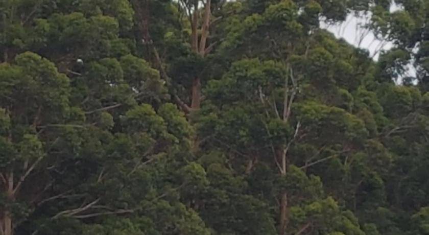 Photo of Others in Pemberton