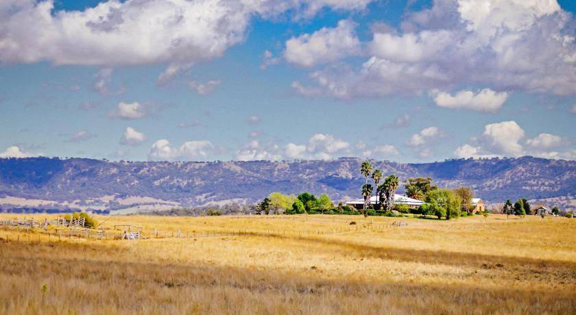 Photo of Others in Scone