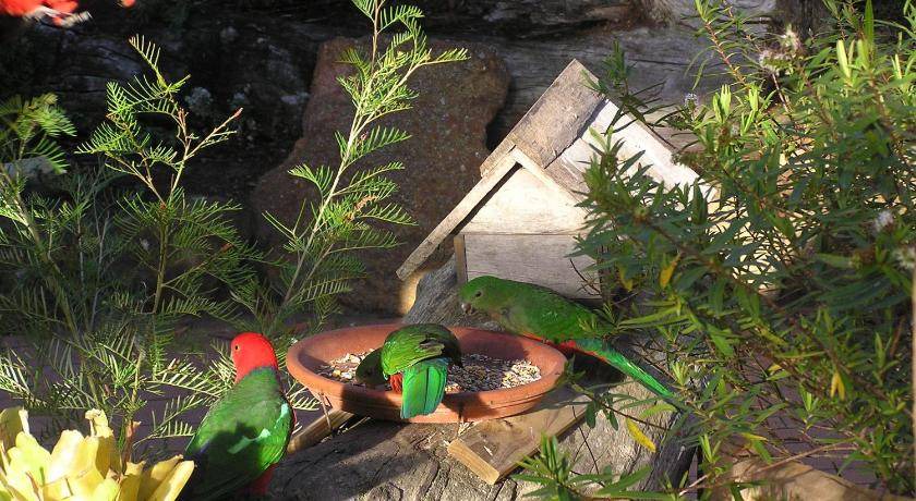Photo of Others in Tathra