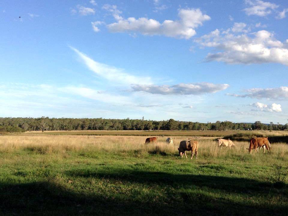 Photo of Others in Kingaroy