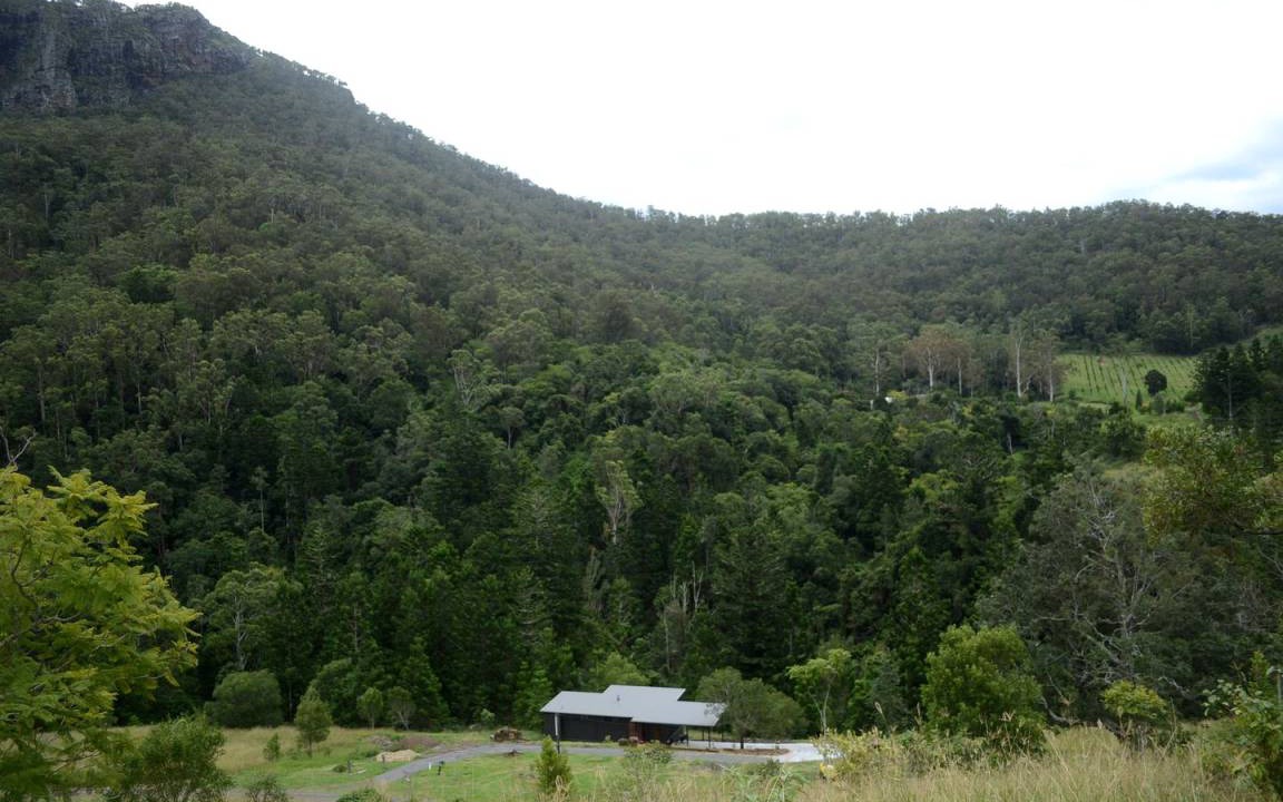 Photo of Others in Lamington